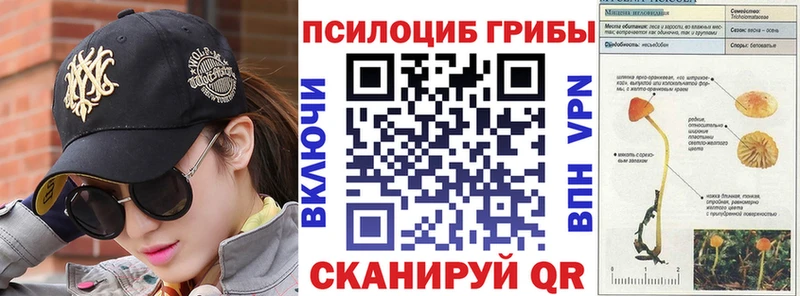 наркота  Ивантеевка  Псилоцибиновые грибы Psilocybe 