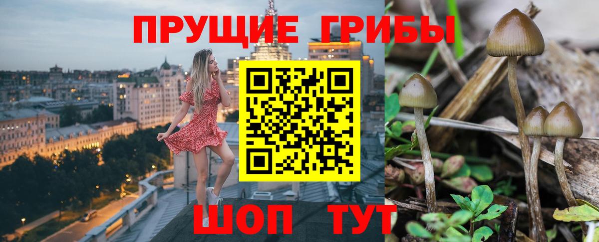 Псилоцибиновые грибы ЛСД Ивантеевка